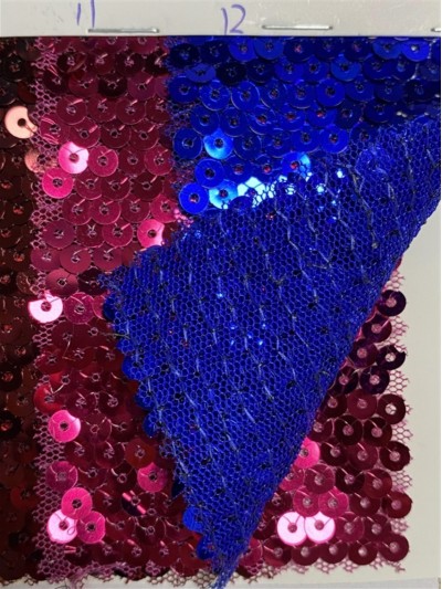 GZ-CLN 亮片閃光網布  正面照